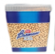 AMICA ARACHIDI SECCHIO KG.3,5 TOSTATI E SALATI